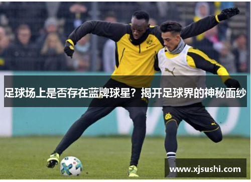 足球场上是否存在蓝牌球星？揭开足球界的神秘面纱